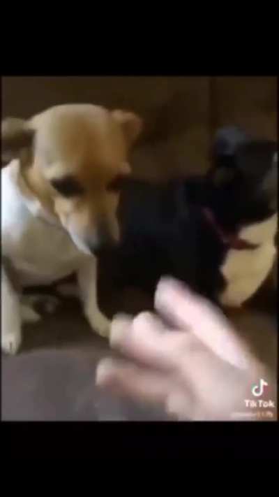 Za HANDO