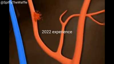 The 2022 Experience