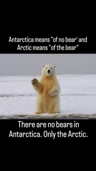 What is the reason behind the names Arctic and Antarctica? It is all about astronomy