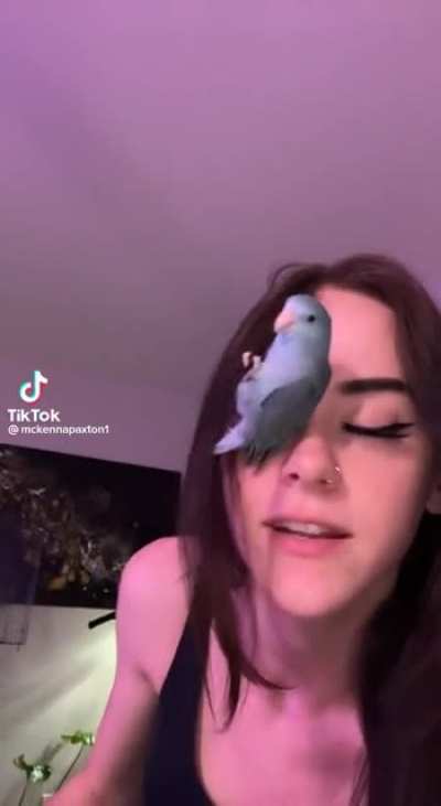 Yesyesyesyesno