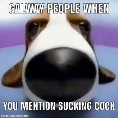 G*lgay 🤢