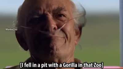 justiceforharambe