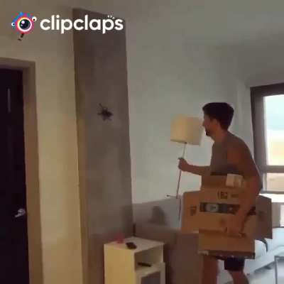 Haha spider go jump jump