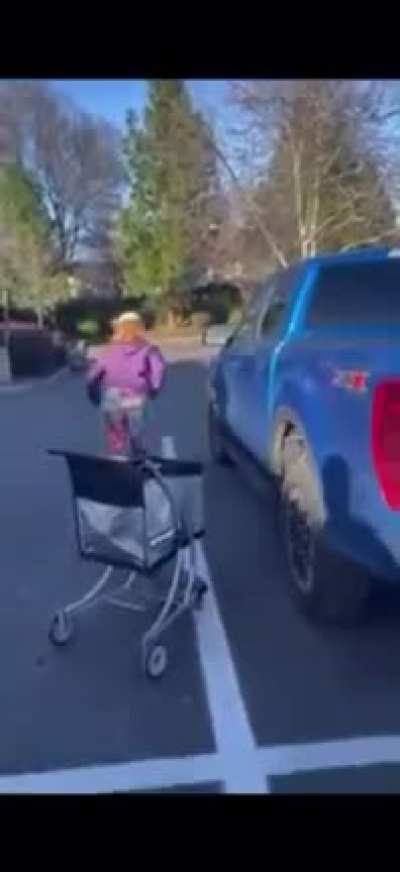 Thief makes off with cart full of goods