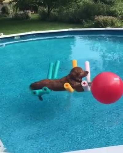 A normal day at the pool... RELAX