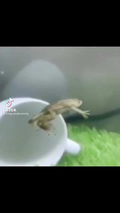volao