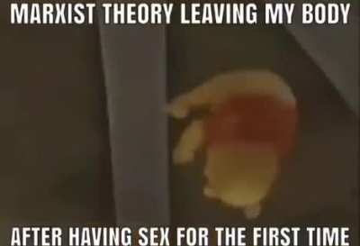 winnie the pooh