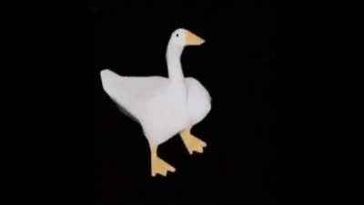 Moco