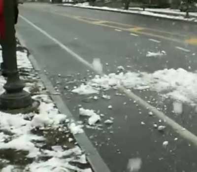 Nieve