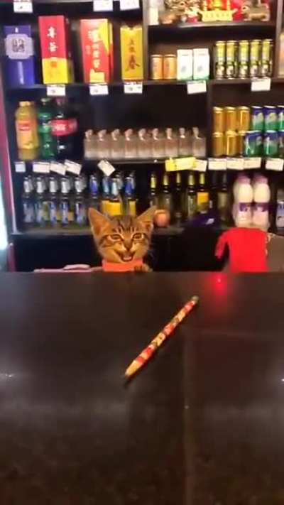 I haven&rsquo;t seen ever a cute shopkeeper like this!