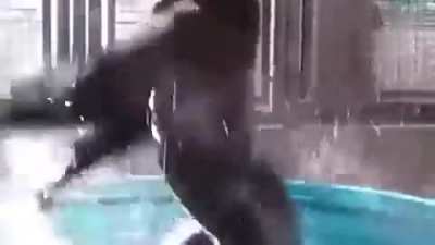 Maniac monke