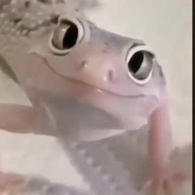 😂