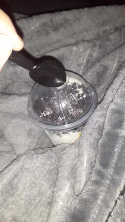 Oreo McFlurry