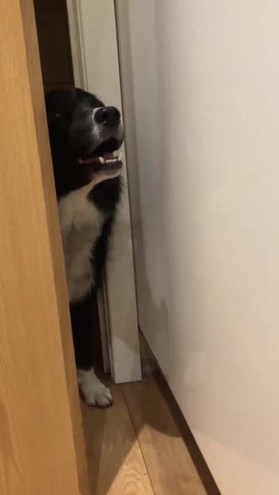 She just doesn&rsquo;t get doors !