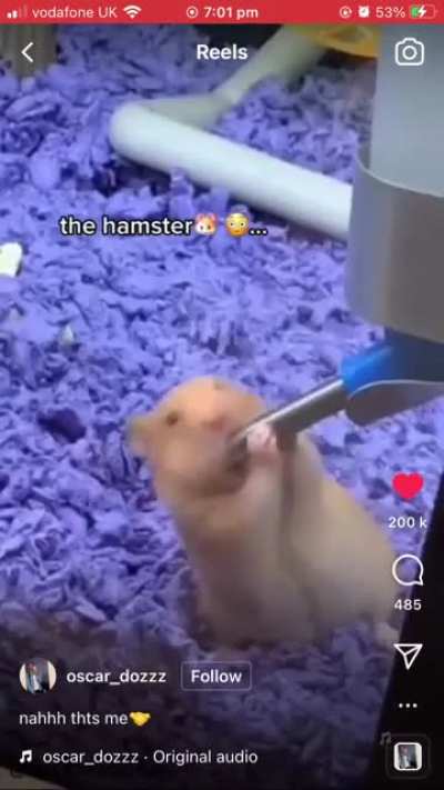 Ayo? 😰