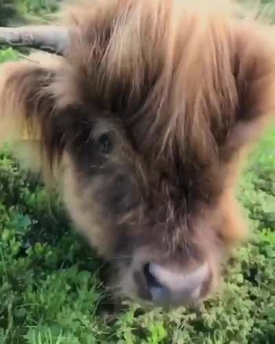 💇&zwj;♀️ what a perfect hair Style 👩🏻&zwj;🎤