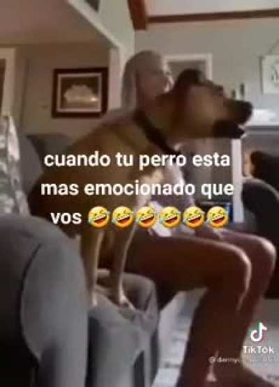 Sin comentarios
