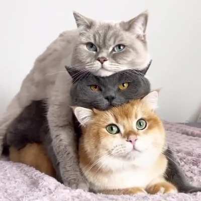 Pyramide von Gadse