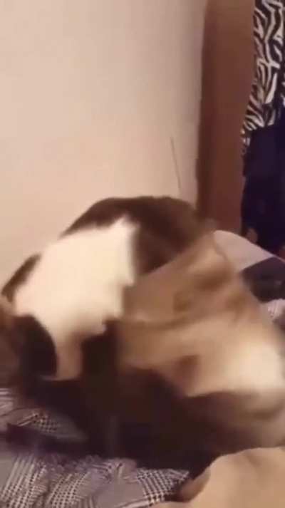I&rsquo;M YOUUUUAAAAAAAAAAAAAAAAAAAAAHHHHHH