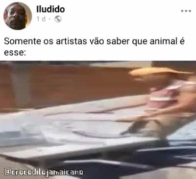 Eu at&eacute; arriscaria, mas como nao sou um artista....