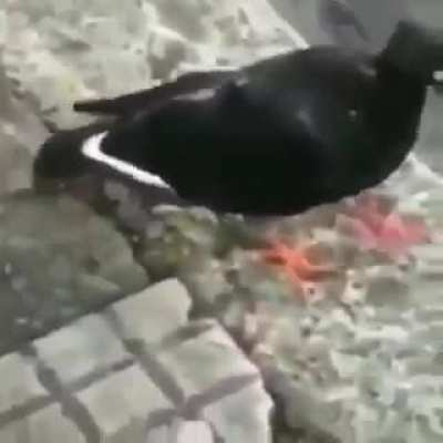 esse lugar s&oacute; bagulho foda