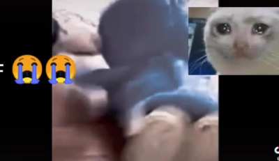 Pablo nooo