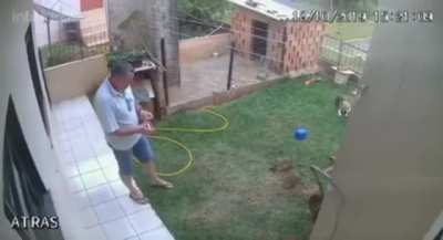 DIY extermination