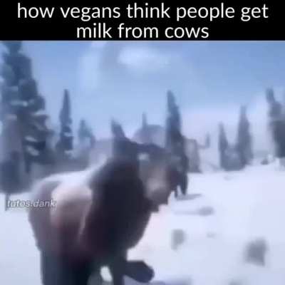 How they think they die