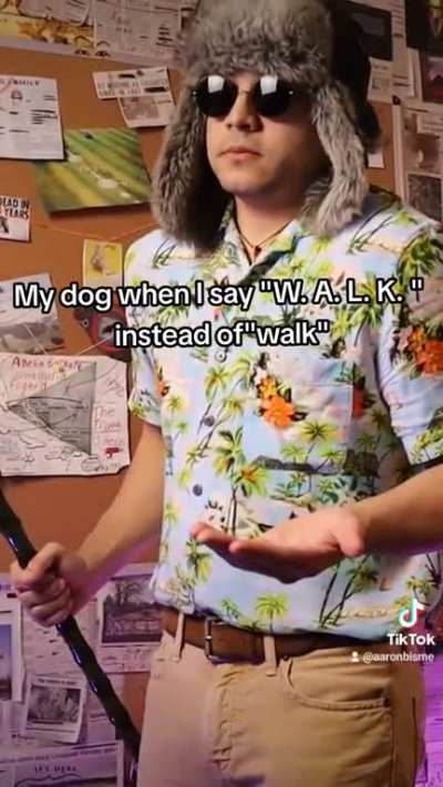 i love dogs