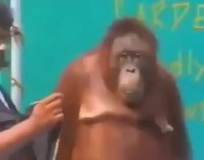 Monke Magic
