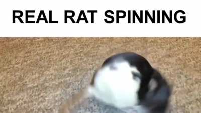HOLY SHIT NO WAY