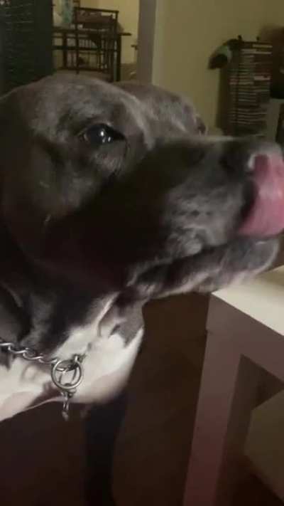 Banksy&rsquo;s &ldquo;ready to go for a walk&rdquo; song