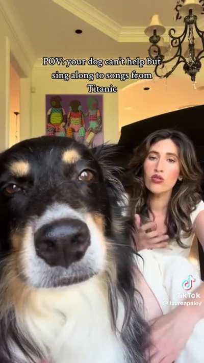 Dog melodically howls the theme song from &ldquo;Titanic&rdquo; with his Opera Singing owner (doing the backup vocals) 