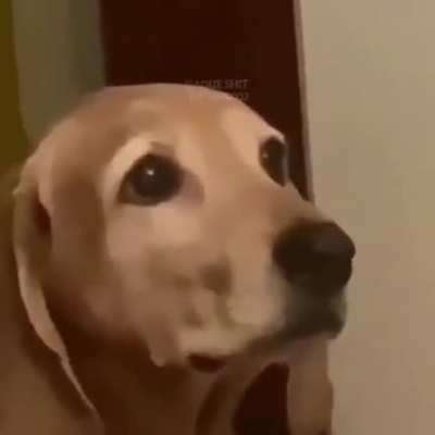 "☹️"
