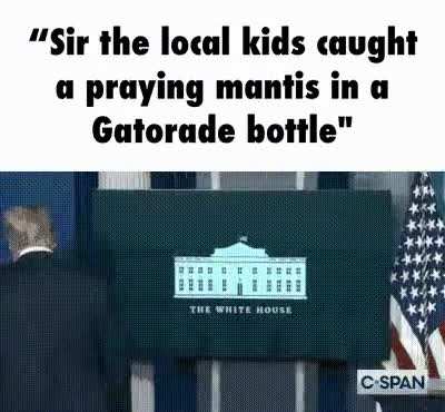 gatortade