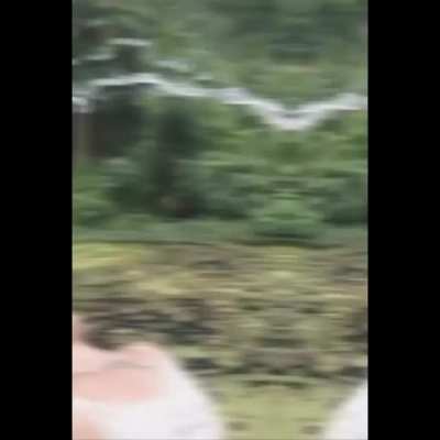 The skill of a professional photographer