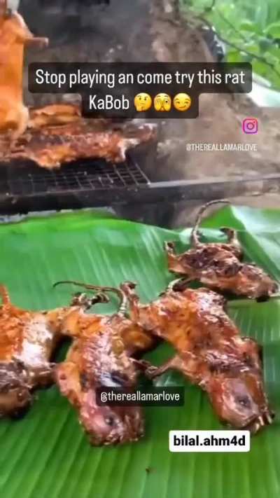 Time to eat brothers 