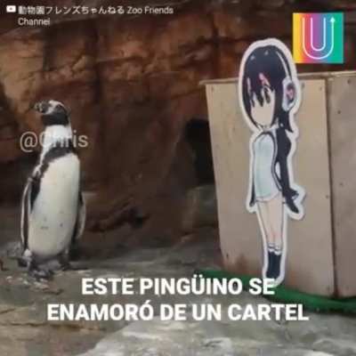 Que puto