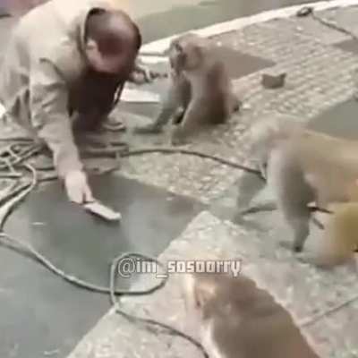 revenge
