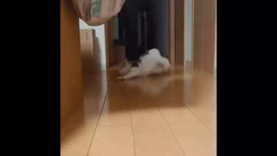 I meant to do that