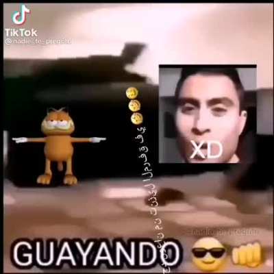 Guayando