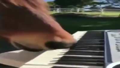 Beethoven