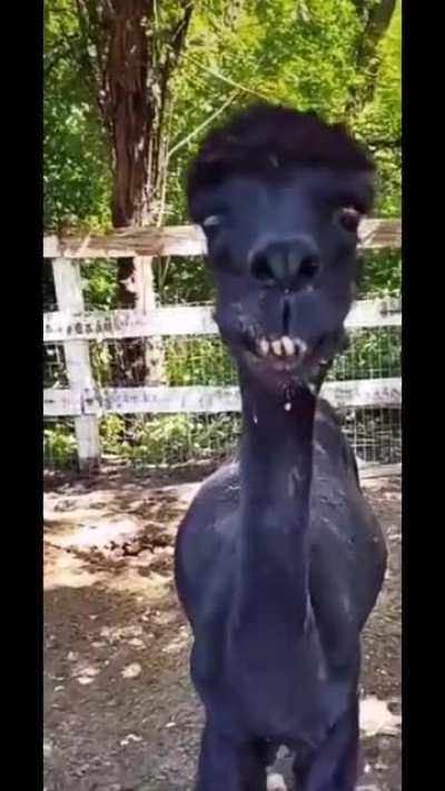 Kkkkkkk