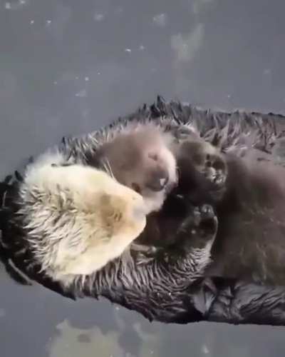 Momma loves her son