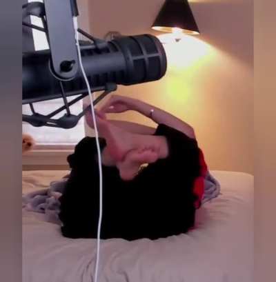 Fanfan attempting to double dab - February 2026