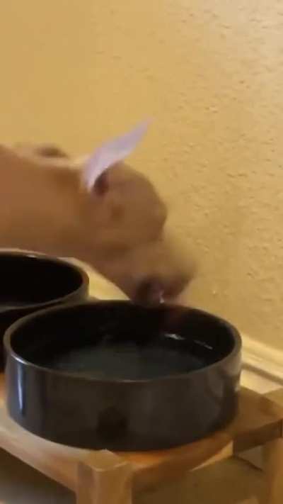 it's just water