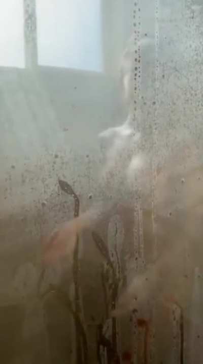Steamy