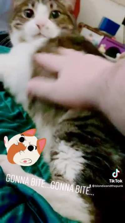 Gonna bite!