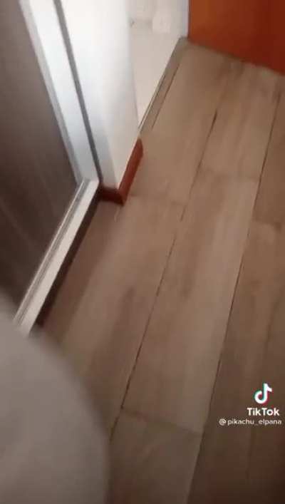 Sab&iacute;as que un tenedor pincha, pero una cuchara no?