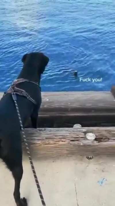 "what's your name?"